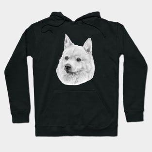 Norwegian buhund Hoodie